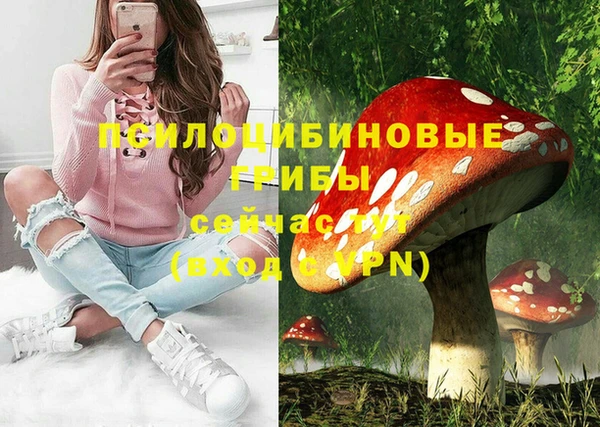гидра Болотное