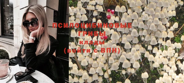 не бодяженный Няндома