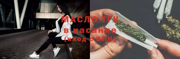 гидра Болотное