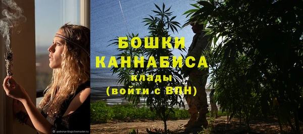 не бодяженный Няндома