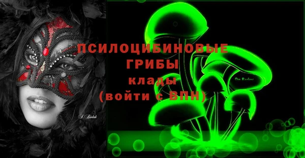 ECSTASY Елизово