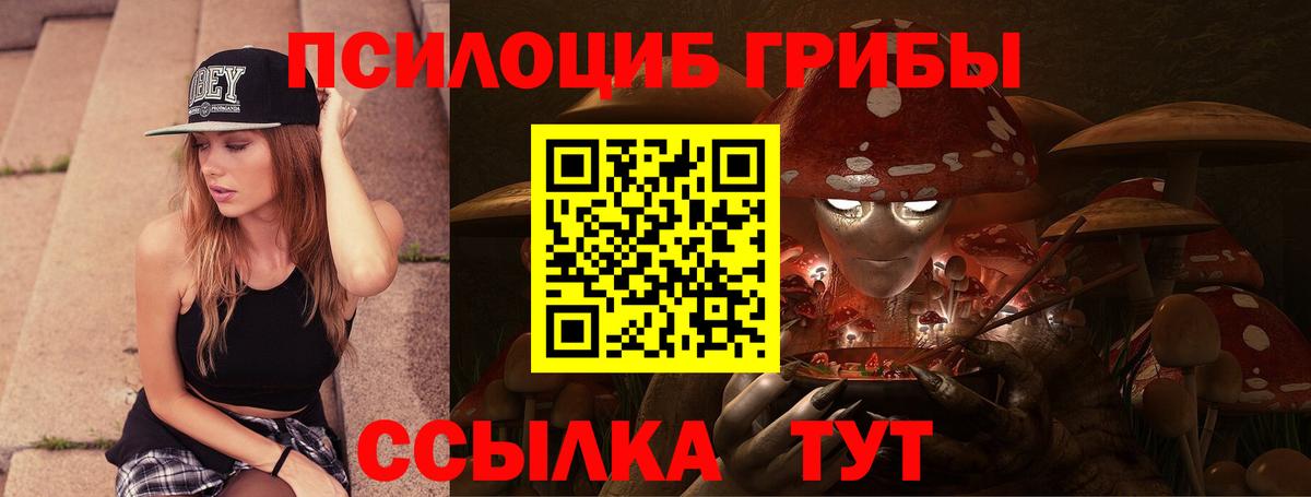 Псилоцибиновые грибы MAGIC MUSHROOMS Асбест